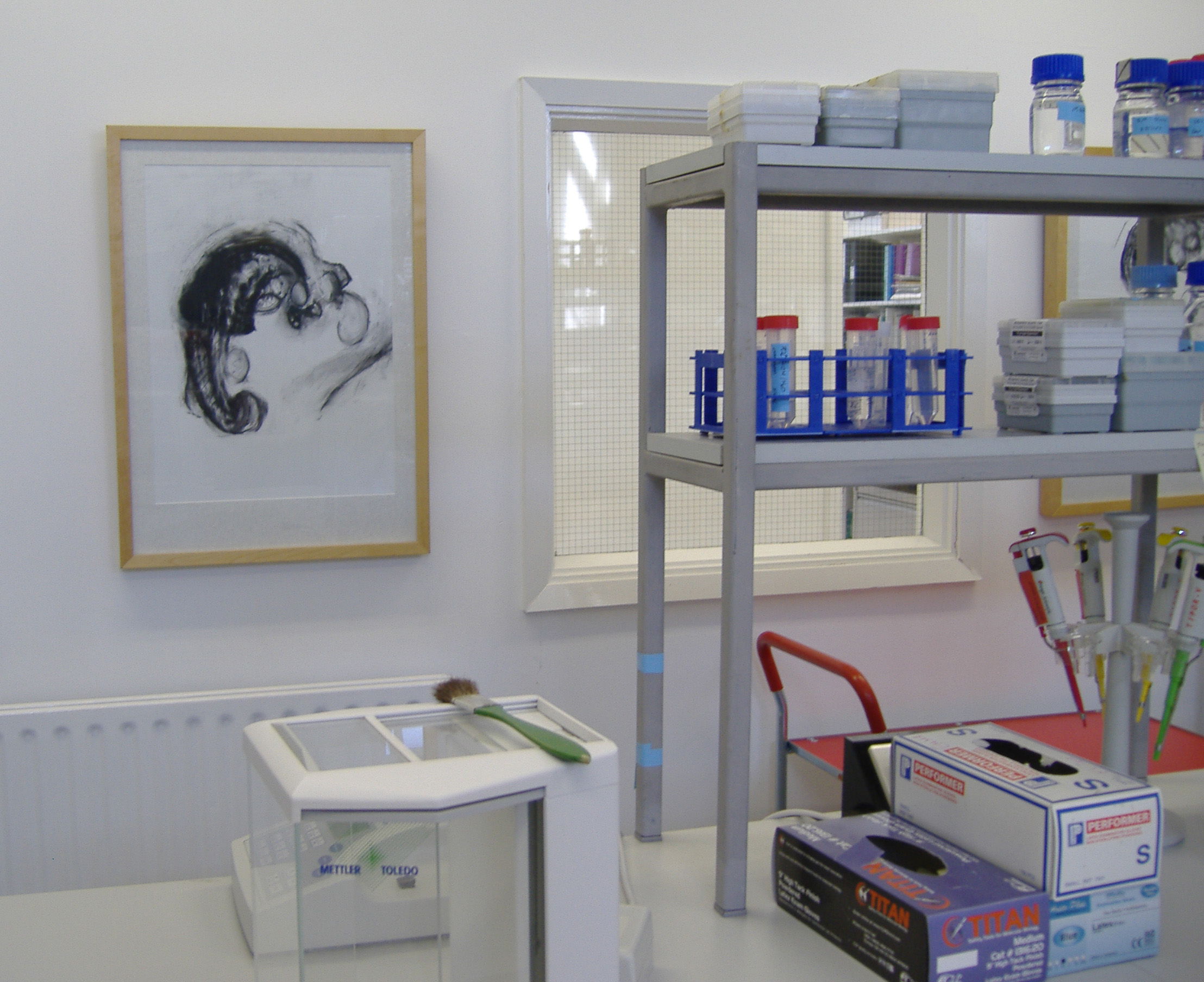 photo of Cathy Fitzgerald's art in the developmental biology lab